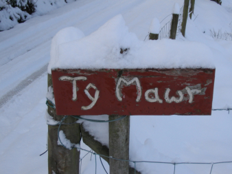 Bythynnod Ty Mawr Cottages